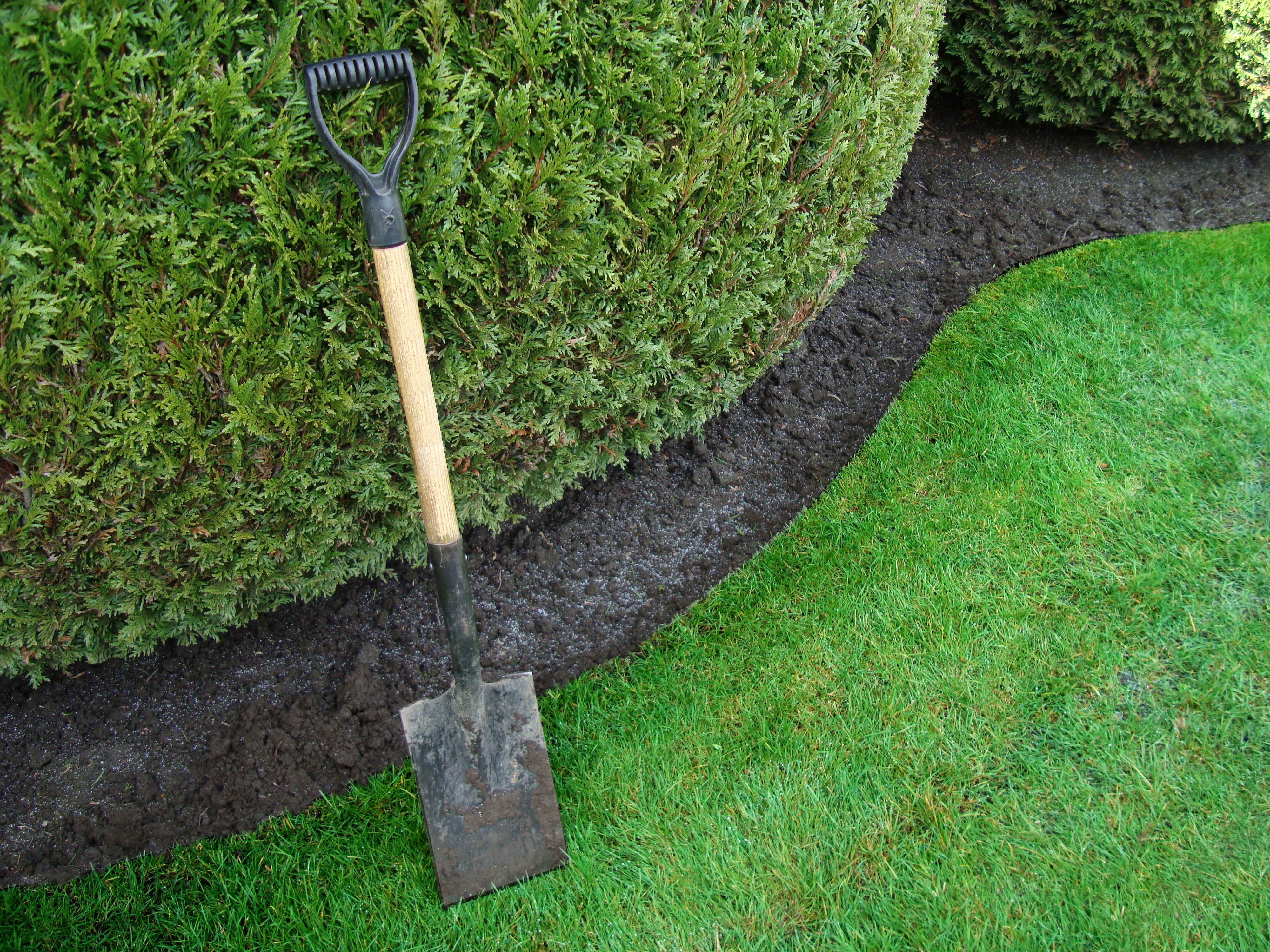 Fresh mulch bed detail