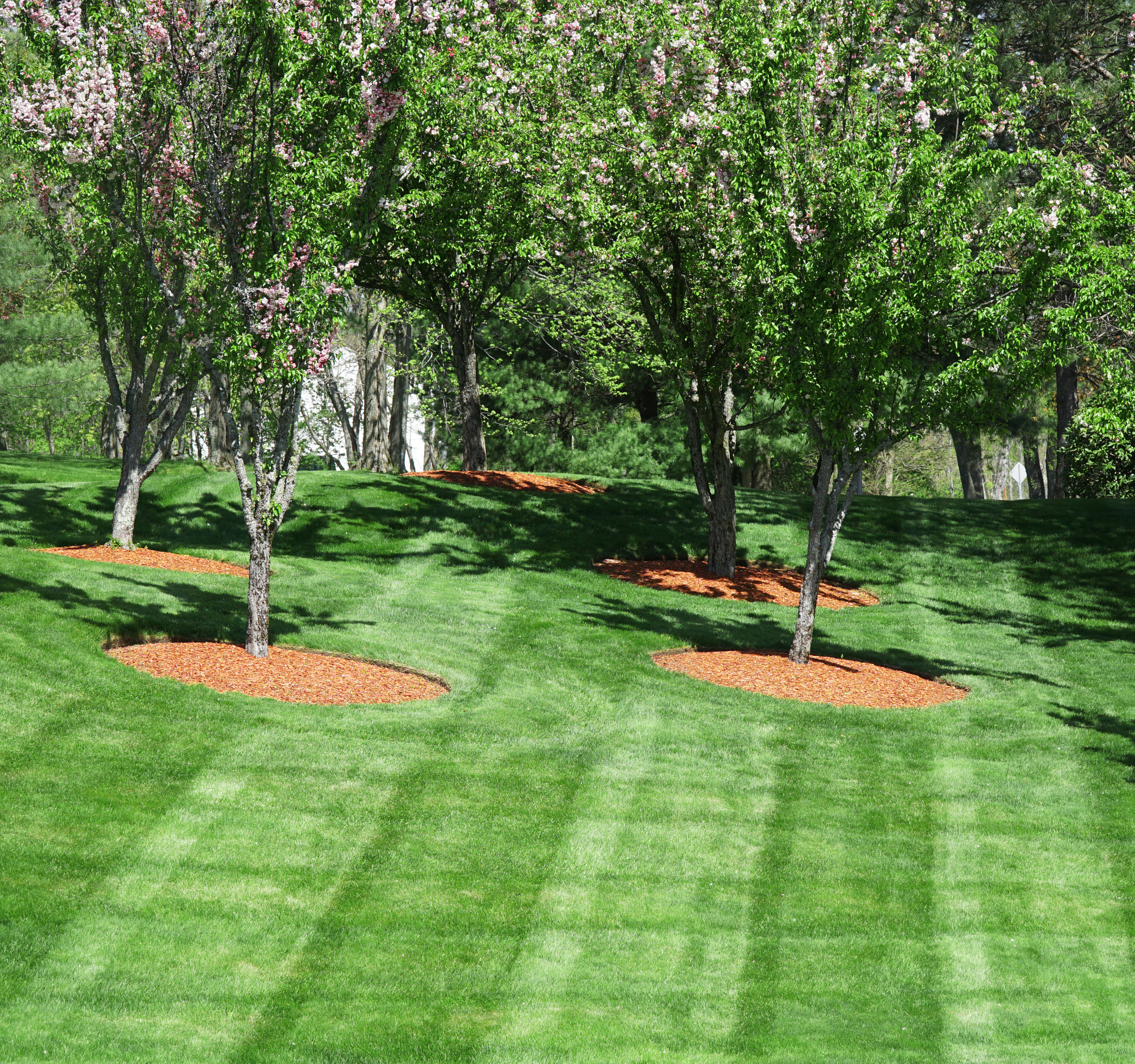 Landscaped beds with fresh mulch