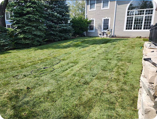 Sod installation in progress