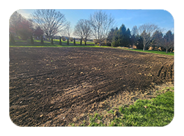 Fresh sod installation detail
