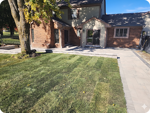Sod installation process