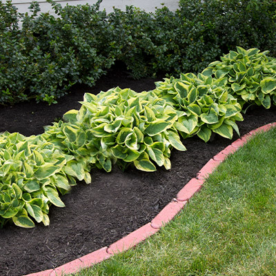 Mulch and bed edging