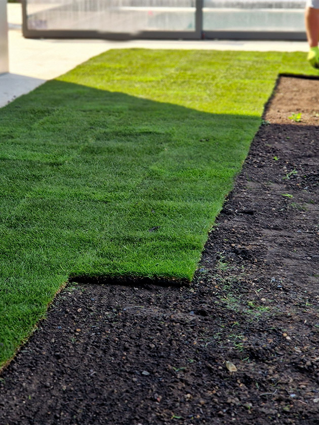 Laying Sod
