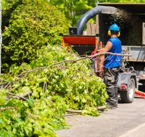 A worker feeding branches into a wood chipper.