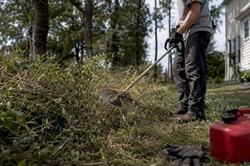 Person using brush cutter in overgrown yard