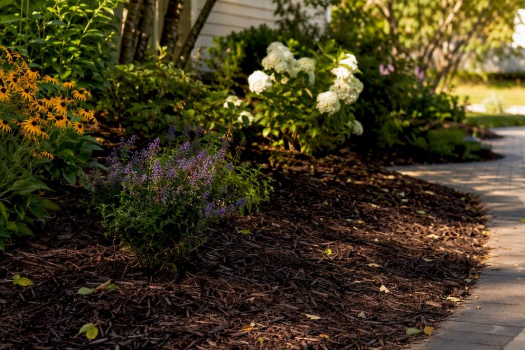 Close-up of pine straw mulch in garden bed