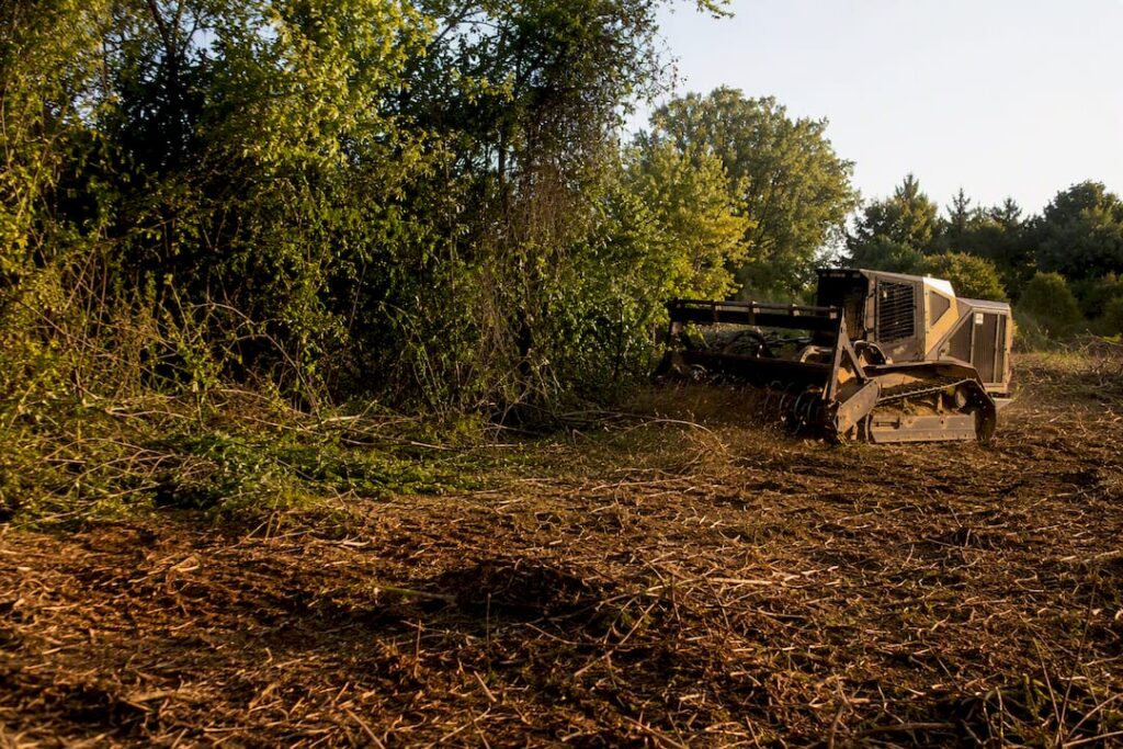 Forestry mulching machine clearing brush