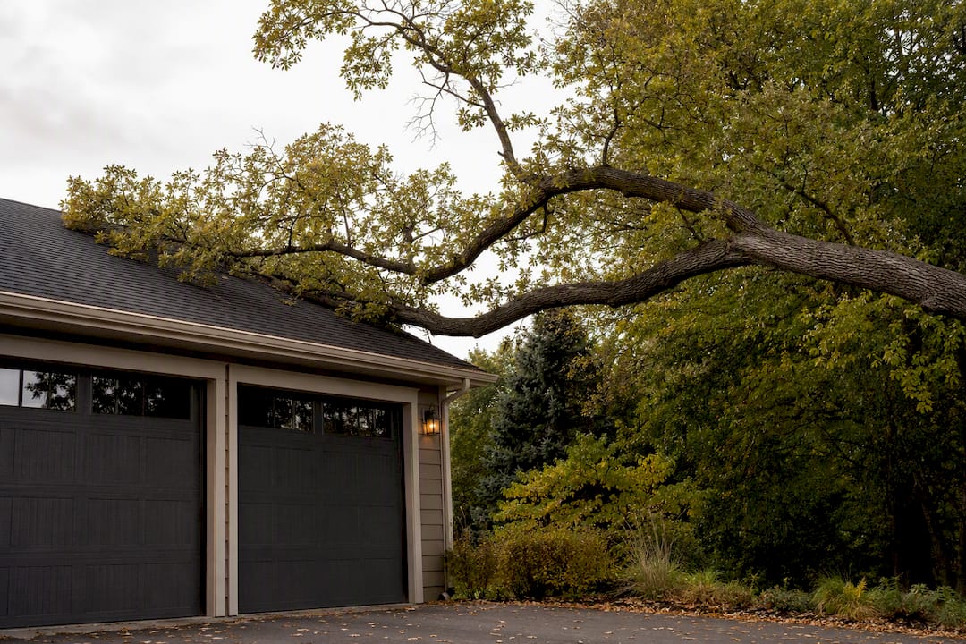 Tree limb hanging over a home roofline