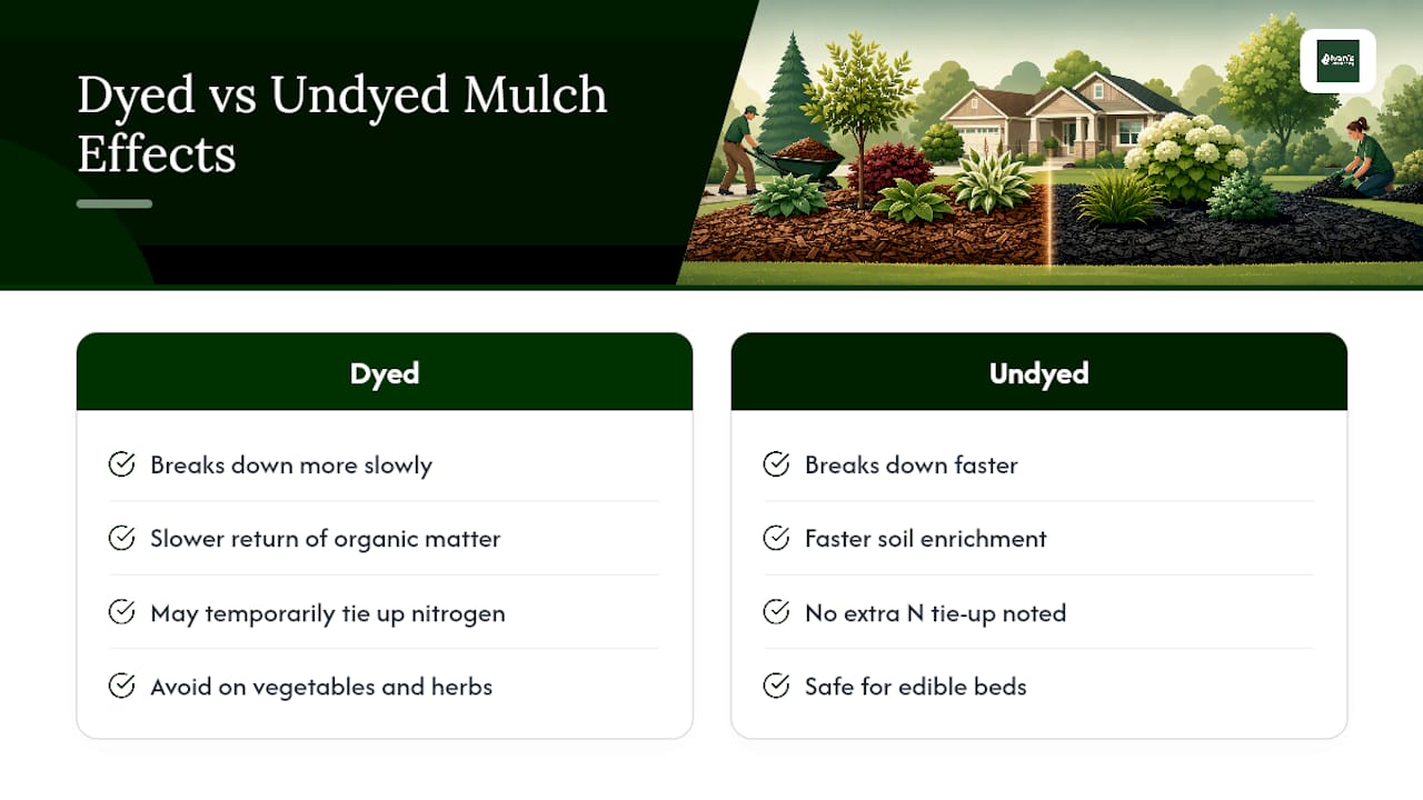 What Dyed Mulch Does to Your Soil Over Time — overview diagram